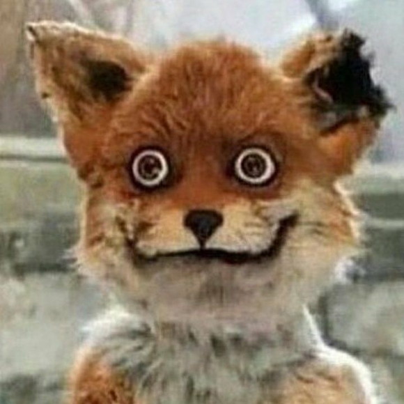 Meet your Posher, Joe - Picture 1 of 1